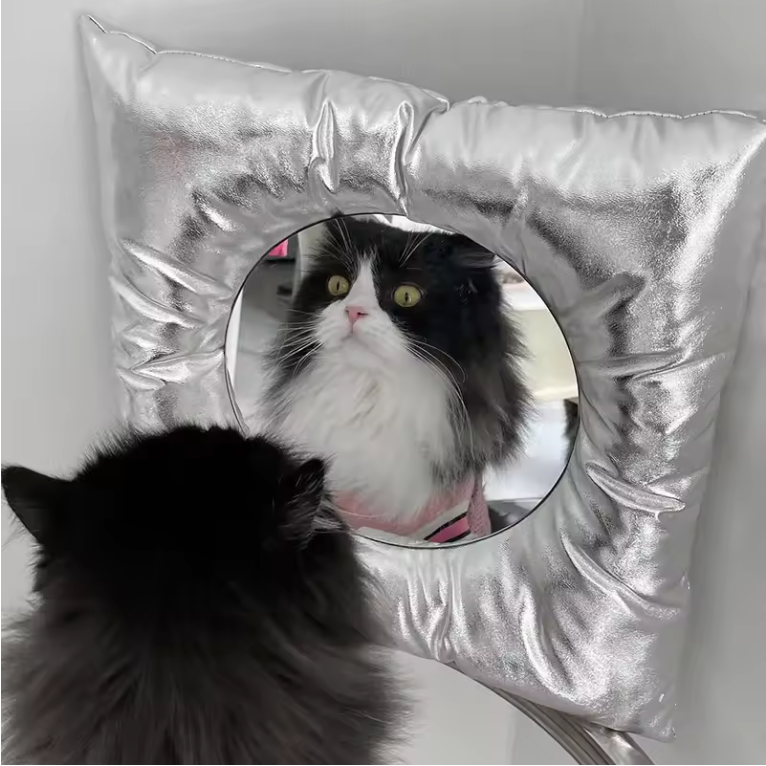 Miroir Mural "Pillow" Argent